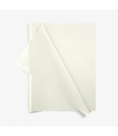 Šilkinis popierius 19 gsm. , 500x750 mm - Gelsvas